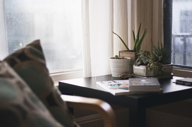 escritorio da casa com plantas